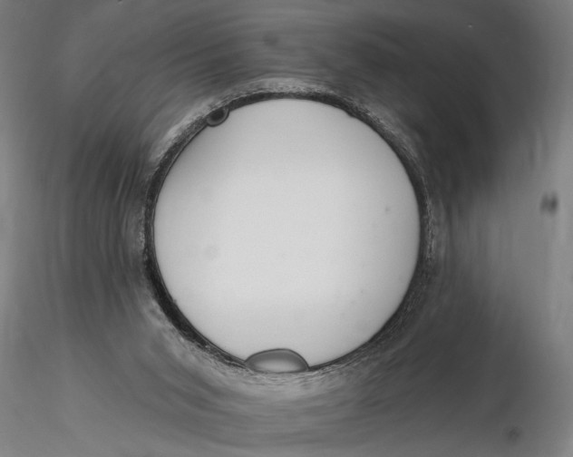 X0000116110015200912141032