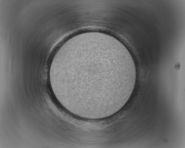 X0000116110016200912141032