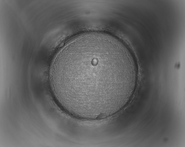 X0000116110017200912141032