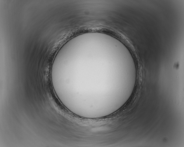 X0000116110018200912141032