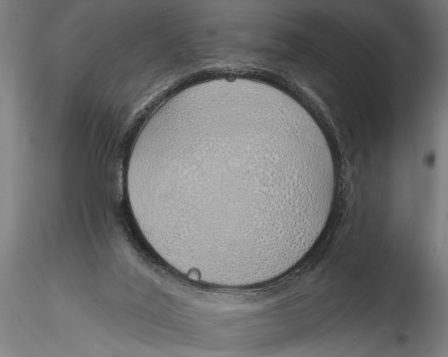 X0000116110020200912141032