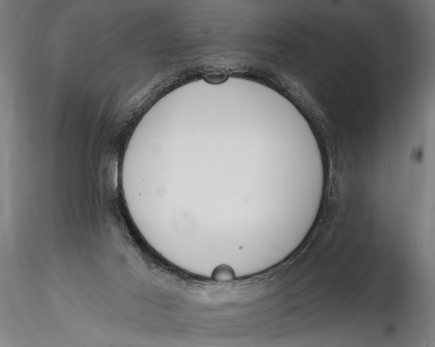 X0000116110021200912141032