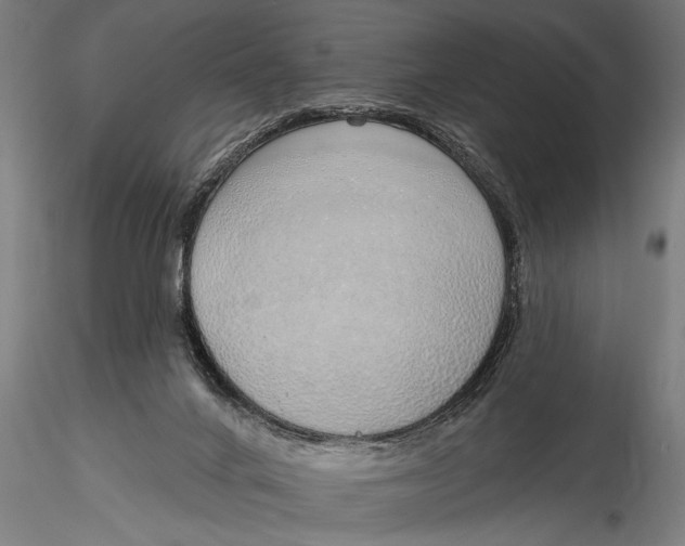 X0000116110024200912141032