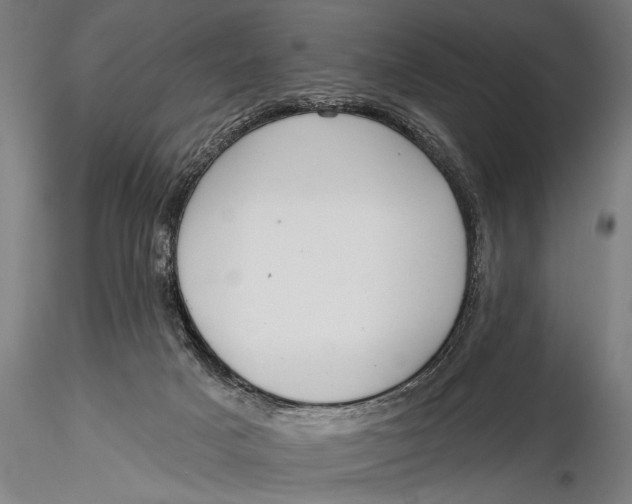 X0000116110025200912141032