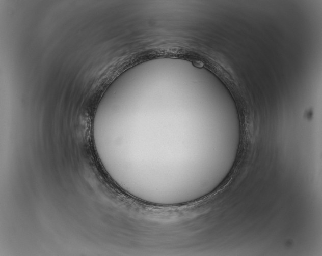 X0000116110029200912141032