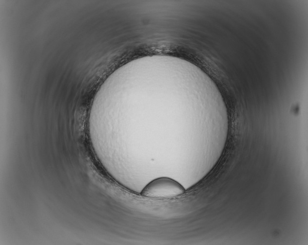 X0000116110030200912141032