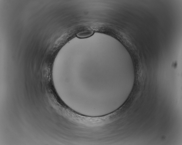 X0000116110031200912141032