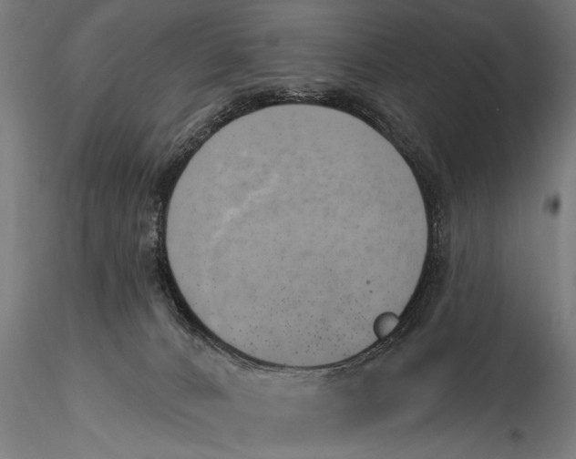 X0000116110032200912141032