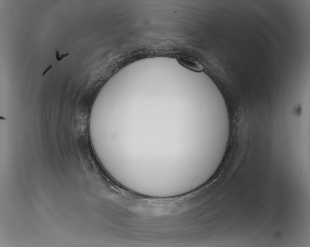 X0000116110033200912141032