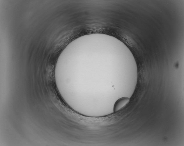 X0000116110034200912141032