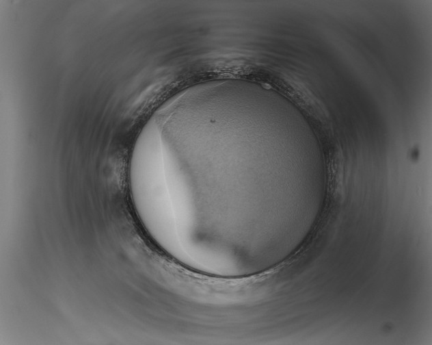 X0000116110035200912141032