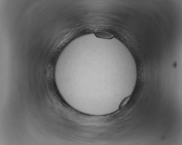 X0000116110036200912141032