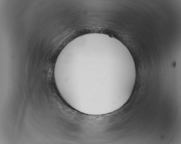 X0000116110037200912141031