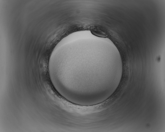 X0000116110039200912141031