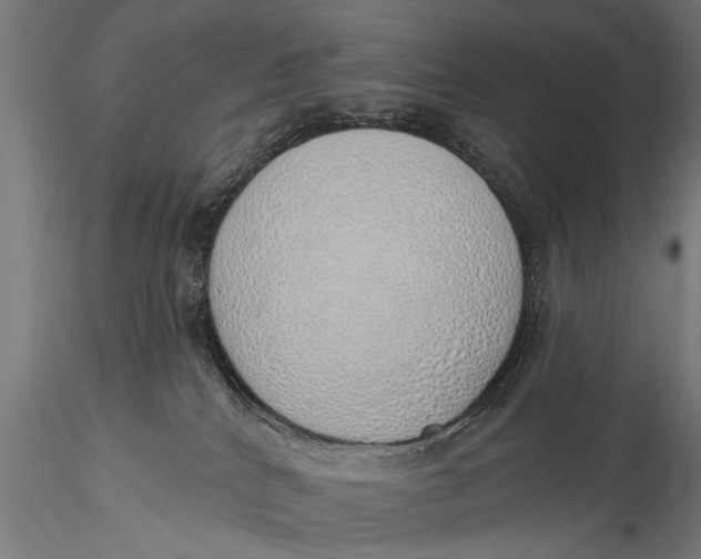 X0000116110040200912141031