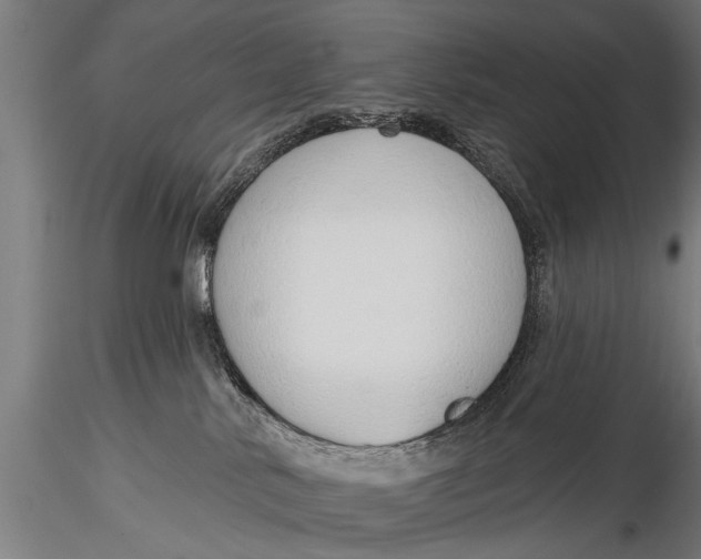 X0000116110042200912141031