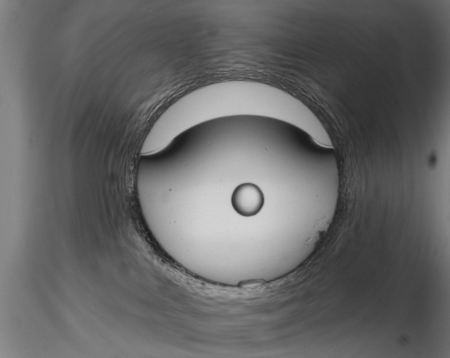 X0000116110043200912141031