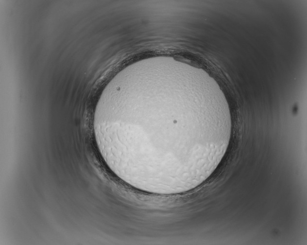 X0000116110044200912141031