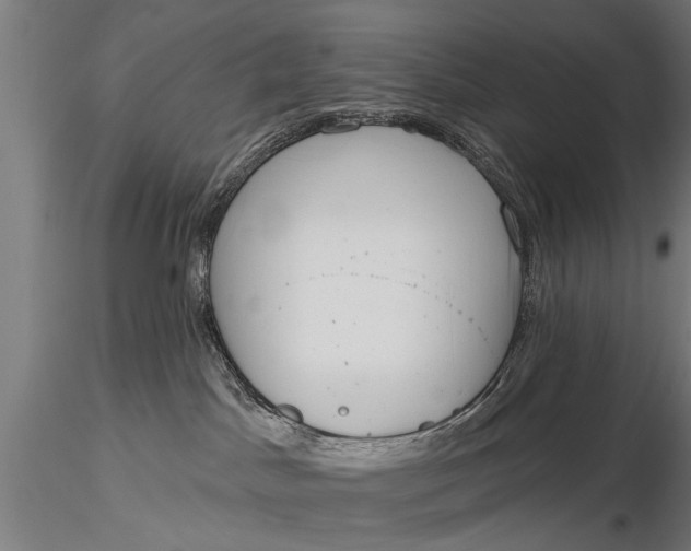 X0000116110045200912141031