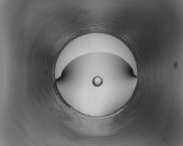 X0000116110047200912141031