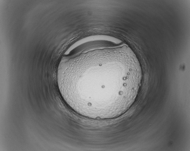 X0000116110048200912141031