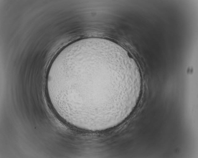 X0000116110049200912141031