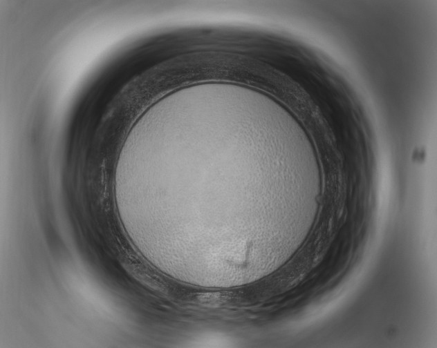 X0000116110050200912141031