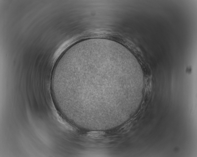 X0000116110051200912141031