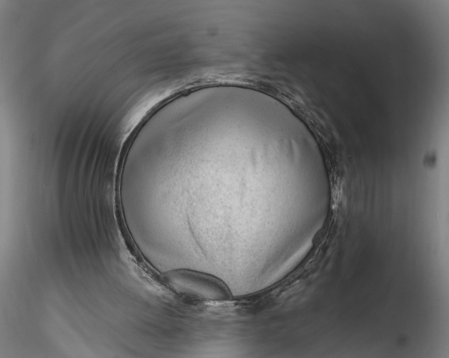 X0000116110052200912141031