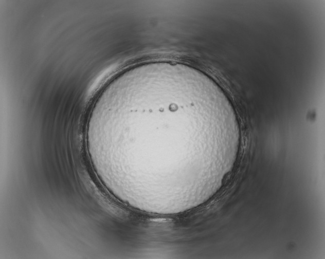 X0000116110053200912141031