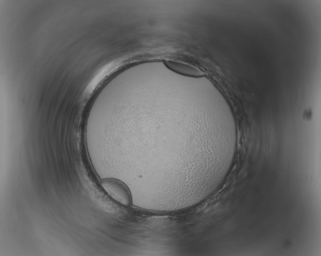 X0000116110054200912141031