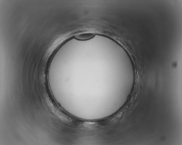 X0000116110055200912141031