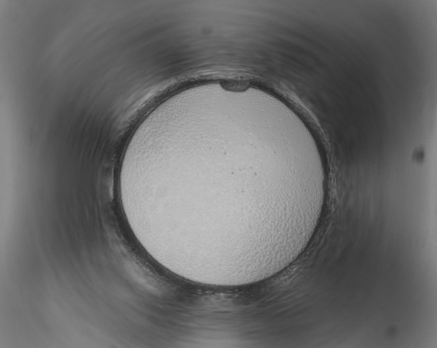 X0000116110062200912141031