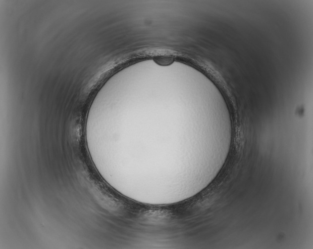 X0000116110063200912141031