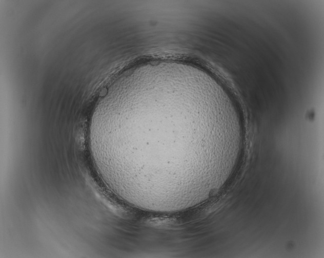 X0000116110065200912141031