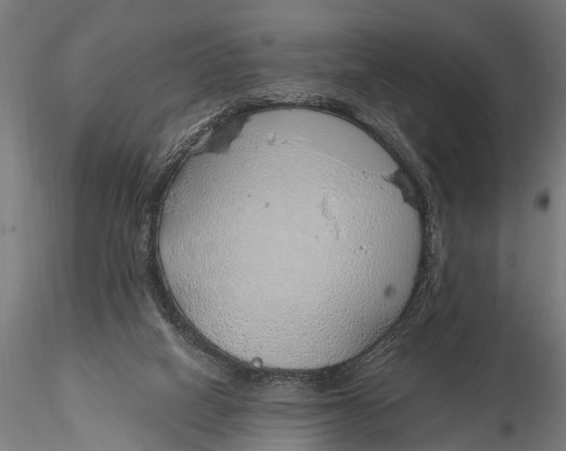 X0000116110066200912141031