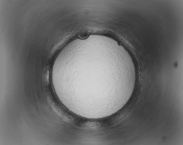 X0000116110067200912141031