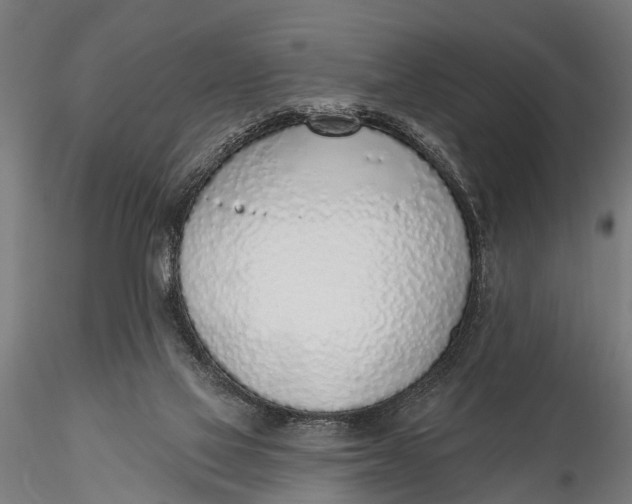 X0000116110069200912141031