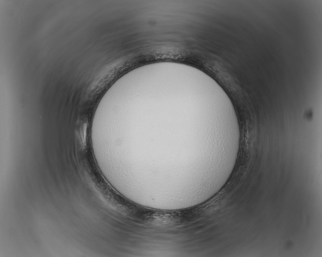 X0000116110070200912141031