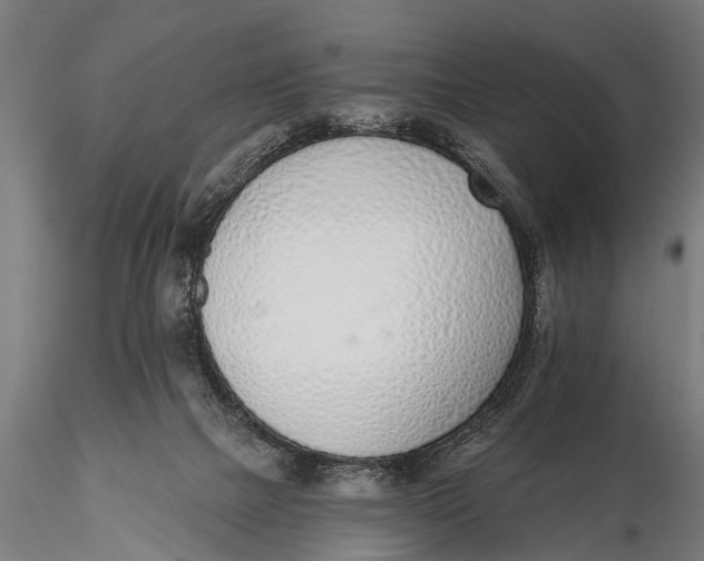 X0000116110073200912141031