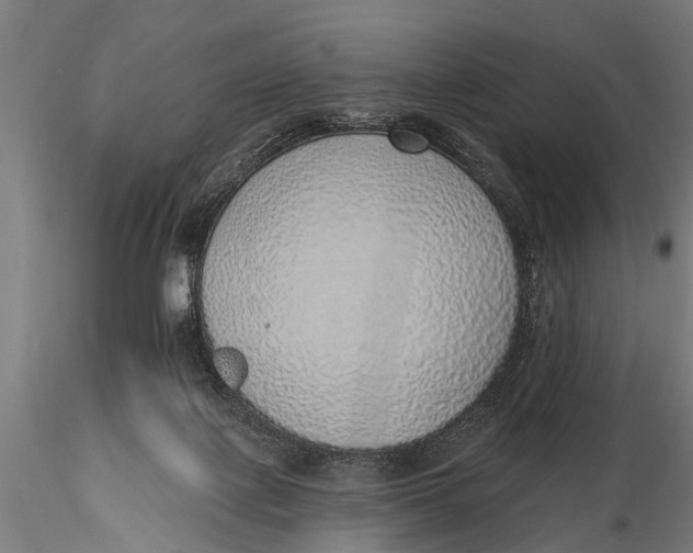 X0000116110075200912141031