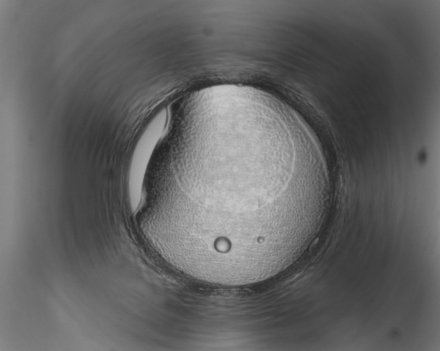 X0000116110076200912141031