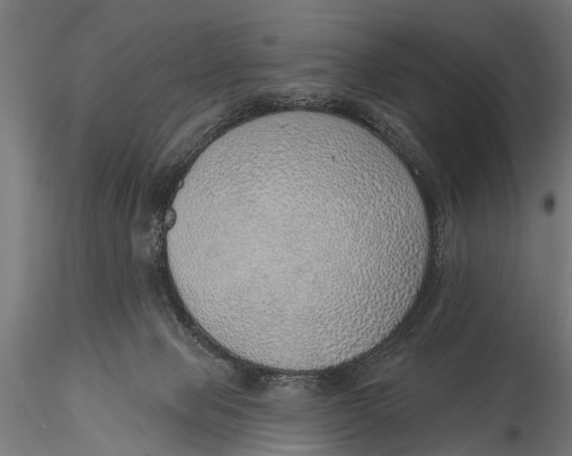 X0000116110077200912141031