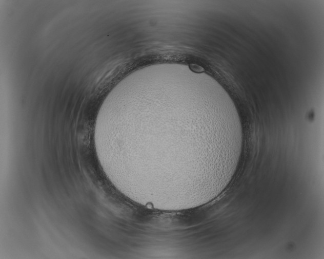 X0000116110078200912141031