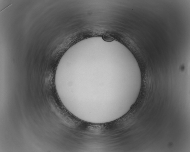 X0000116110079200912141031