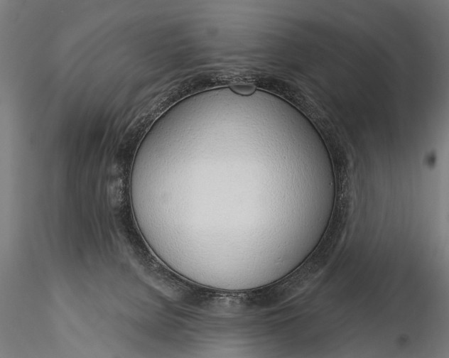 X0000116110080200912141031