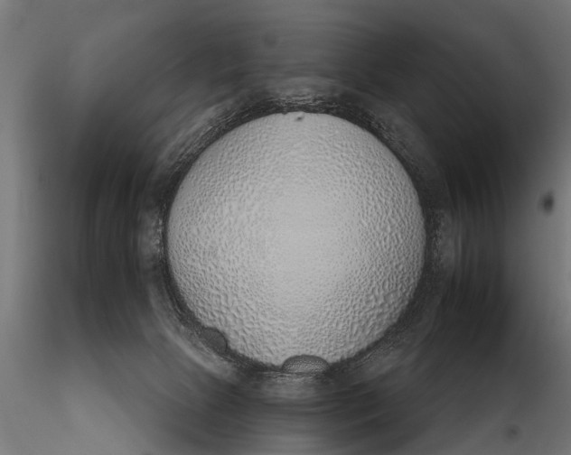 X0000116110081200912141031