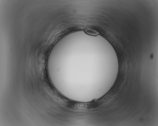 X0000116110084200912141031