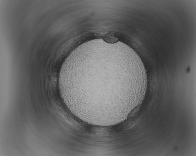 X0000116110085200912141031