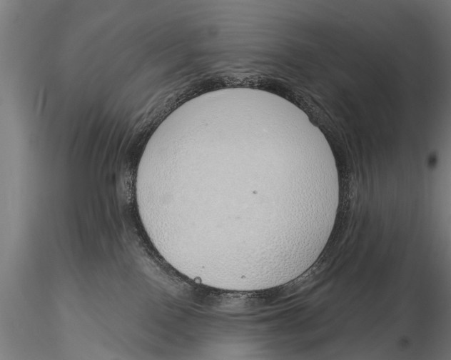 X0000116110090200912141031